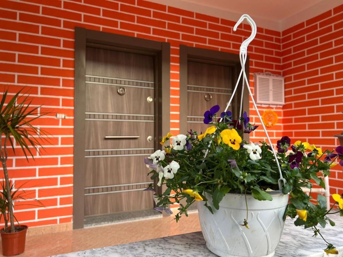 Chestnut Yard Villa Tiranë Eksteriør bilde